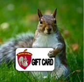 The Squirrels and More Gift Cards