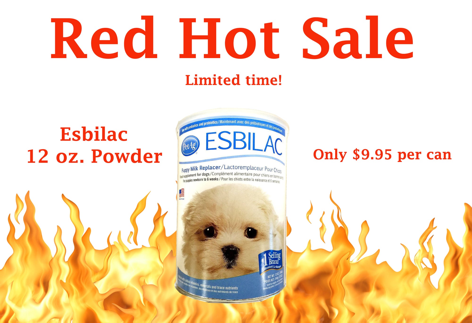 Squirrels and More Red Hot Sale!