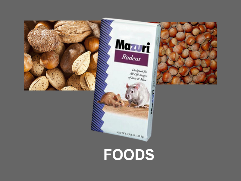 Chris's Squirrels and More Wildlife Rehabilitation Supplies Gifts