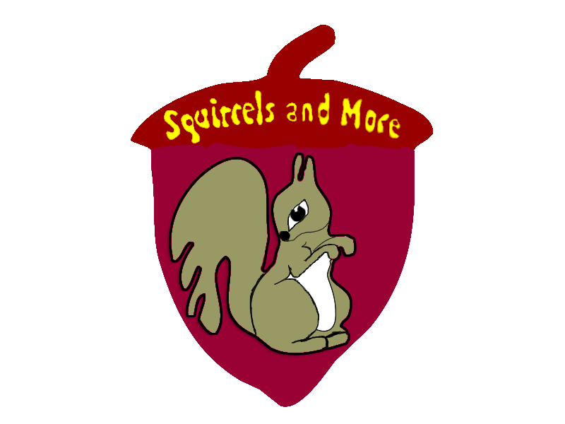 Basic steps to taking care of a baby squirrel Chris's Squirrels and