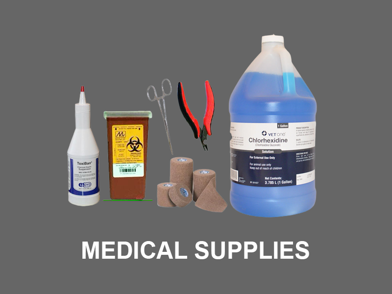 Chris's Squirrels and More Wildlife Rehabilitation Supplies Gifts