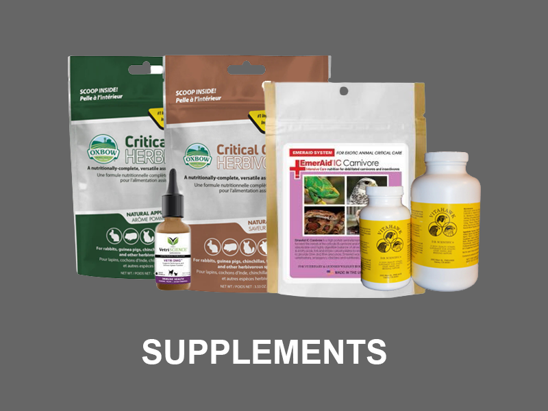 Chris's Squirrels and More Wildlife Rehabilitation Supplies Gifts