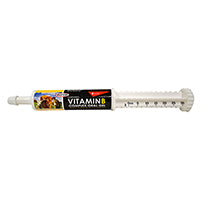 Fortified Vitamin B Complex Oral Gel