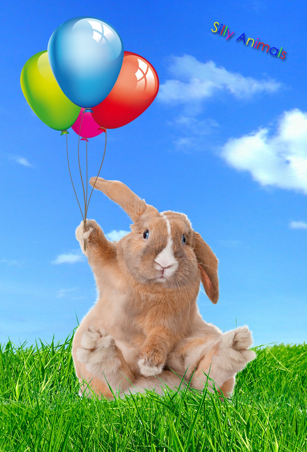Happy Rabbit 3D Magnet