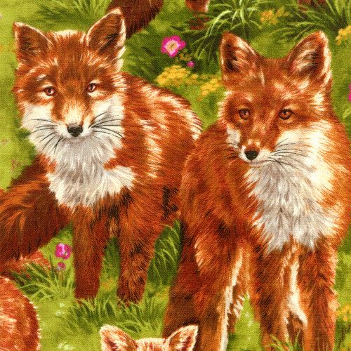 Fox Fabric - Squirrels and More