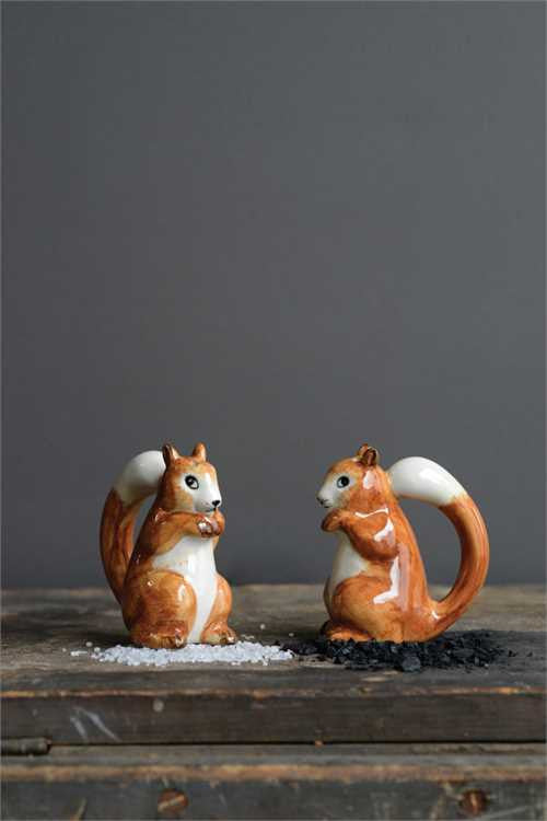 Ceramic Salt and Pepper Shaker Set