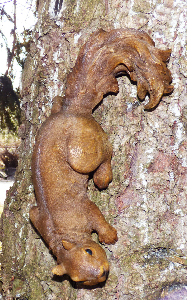 Squirrel Statuary- Set of 2