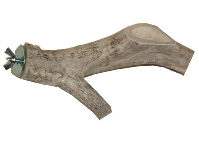 Deer Antlers - Squirrels and More - 4