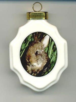 Bunny Porcelain Ornament - Squirrels and More