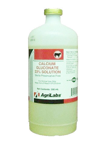 Calcium Gluconate - Squirrels and More