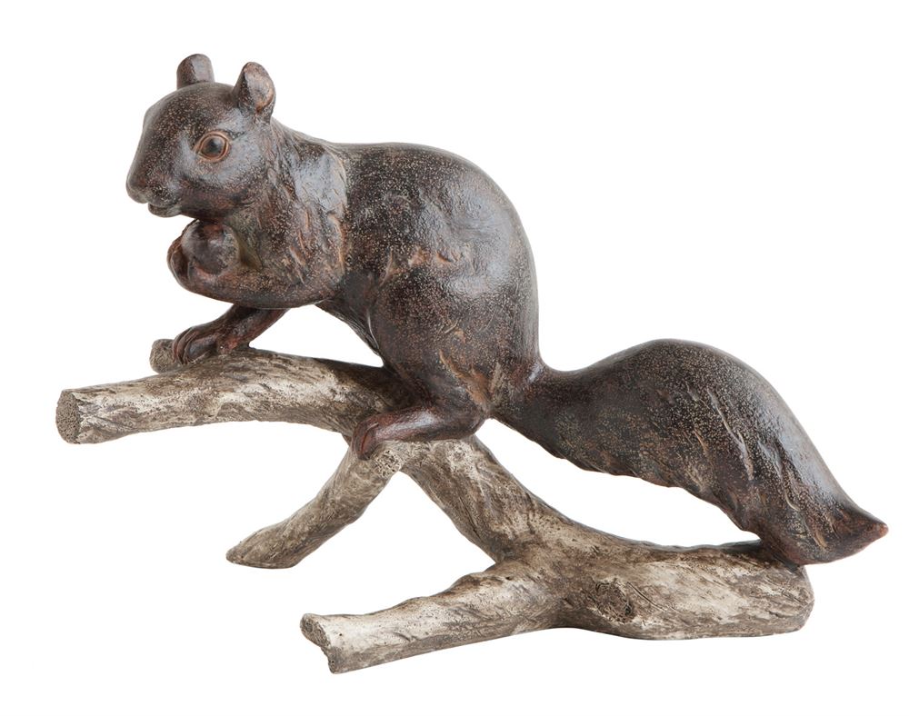 Squirrel Sitting on Branch