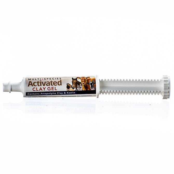 Multi Species Activated Clay Gel - Squirrels and More - 1