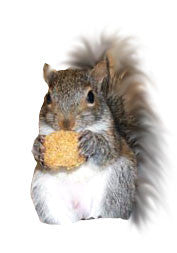 Zupreem Primate Dry Diet - Squirrels and More - 1